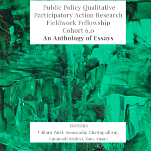 Public Policy Qualitative Participatory Action Research Fieldwork Fellowship- Cohort 6.0: An Anthology of Essays